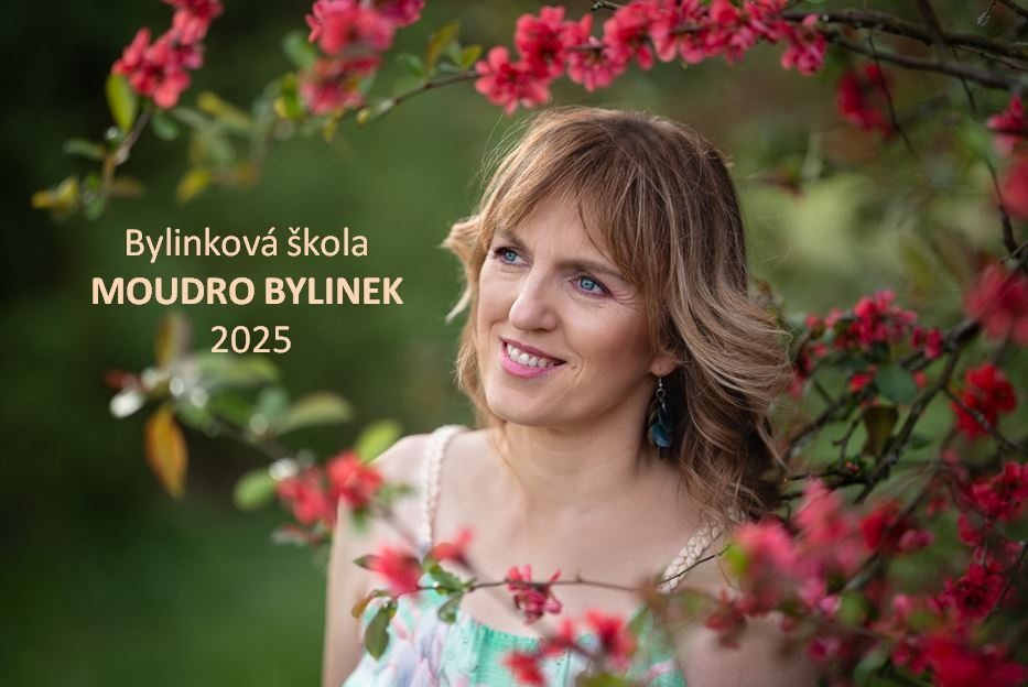 BYLINKOVÁ ŠKOLA v roce 2025