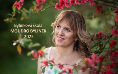 BYLINKOVÁ ŠKOLA v roce 2025