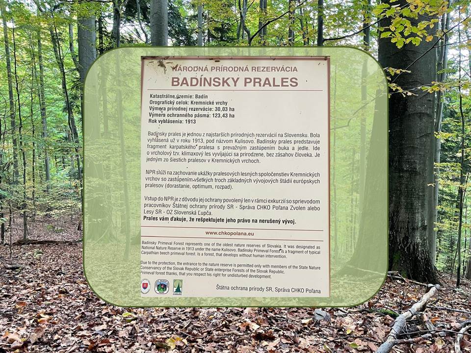 BADÍNSKY PRALES - Národní přírodní rezervace